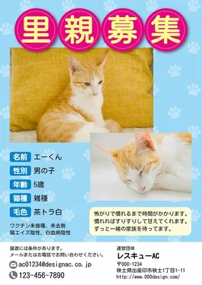 里親募集　猫　ブルー, 포스터, 포스터 템플릿