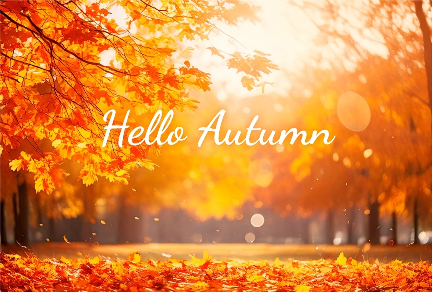 秋の紅葉メッセージカード, 秋, 紅葉, 季節, メッセージカードテンプレート