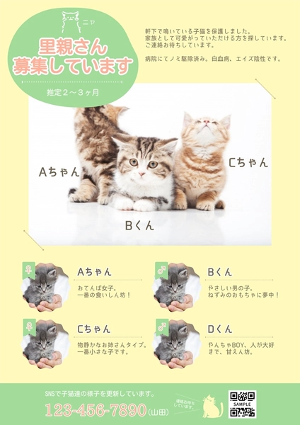 保護猫の里親さん募集！, Flyer, Flyer template