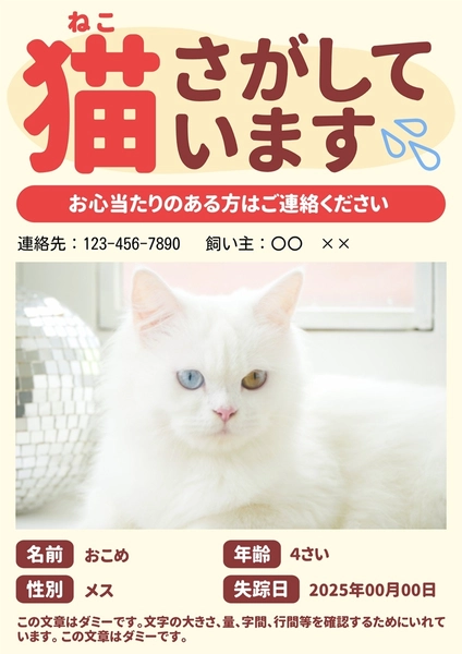 迷子の猫を探しています　ポスター, ポスター, ポスターテンプレート