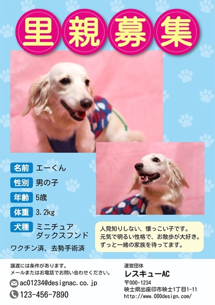 里親募集　犬　ブルー, 포스터, 포스터 템플릿