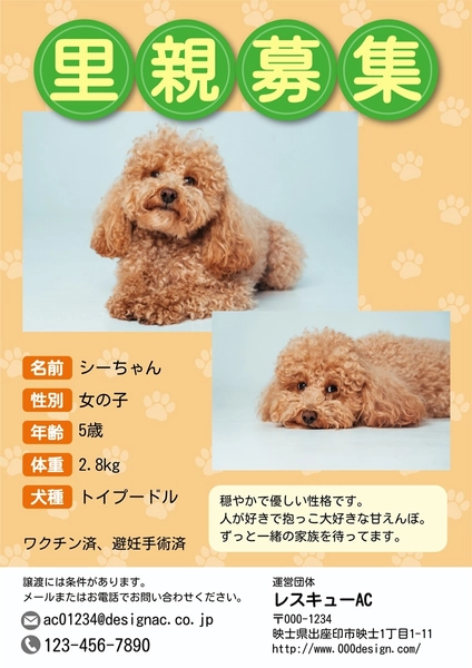 里親募集　犬　オレンジ, 포스터, 포스터 템플릿