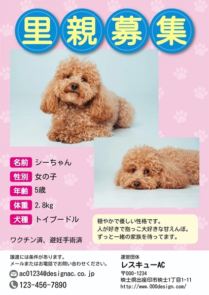 里親募集　犬　ピンク, 포스터, 포스터 템플릿