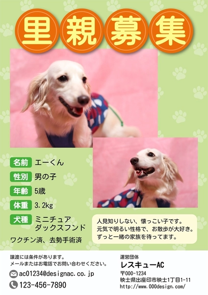 里親募集　犬　グリーン, 포스터, 포스터 템플릿