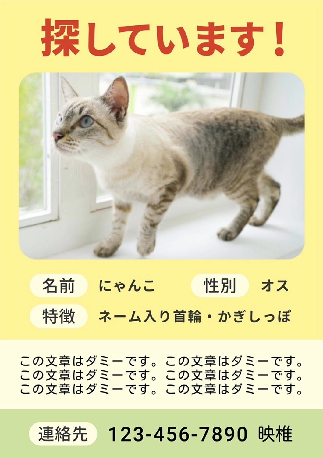 ペットを探しています／ポスター, ネコ, ベッド, 行方不明, ポスターテンプレート