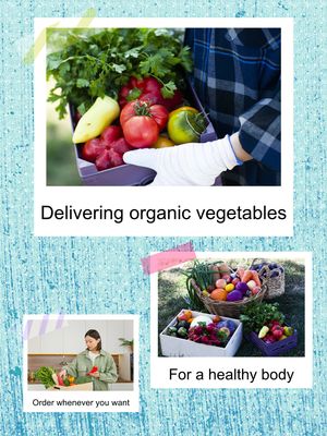 オーガニック野菜広告デザイン