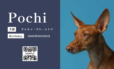 ツートンカラーの犬写真ペット名刺
, Business Card, Business Card template