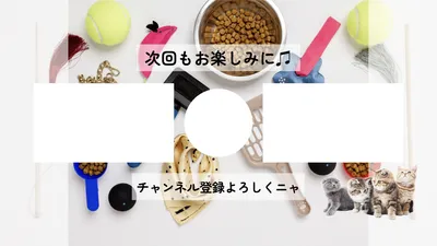 猫チャンネル向けの写真入りYouTubeエンドカード
, YouTubeのサムネイル, YouTubeのサムネイルテンプレート