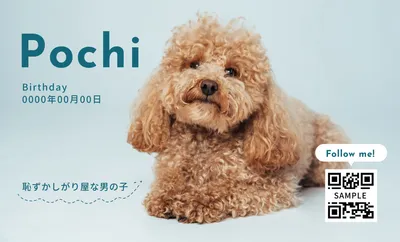 水色背景の犬写真ペット名刺
, Business Card, Business Card template