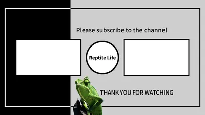 爬虫類チャンネル向けのモノトーンYouTubeエンドカード
, YouTubeのサムネイル, YouTubeのサムネイルテンプレート