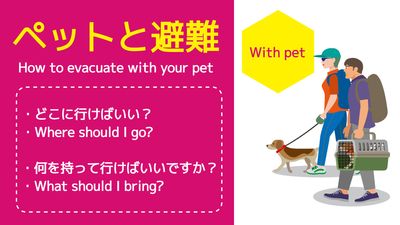 外国人向け災害時対応YouTubeサムネ（ペット）