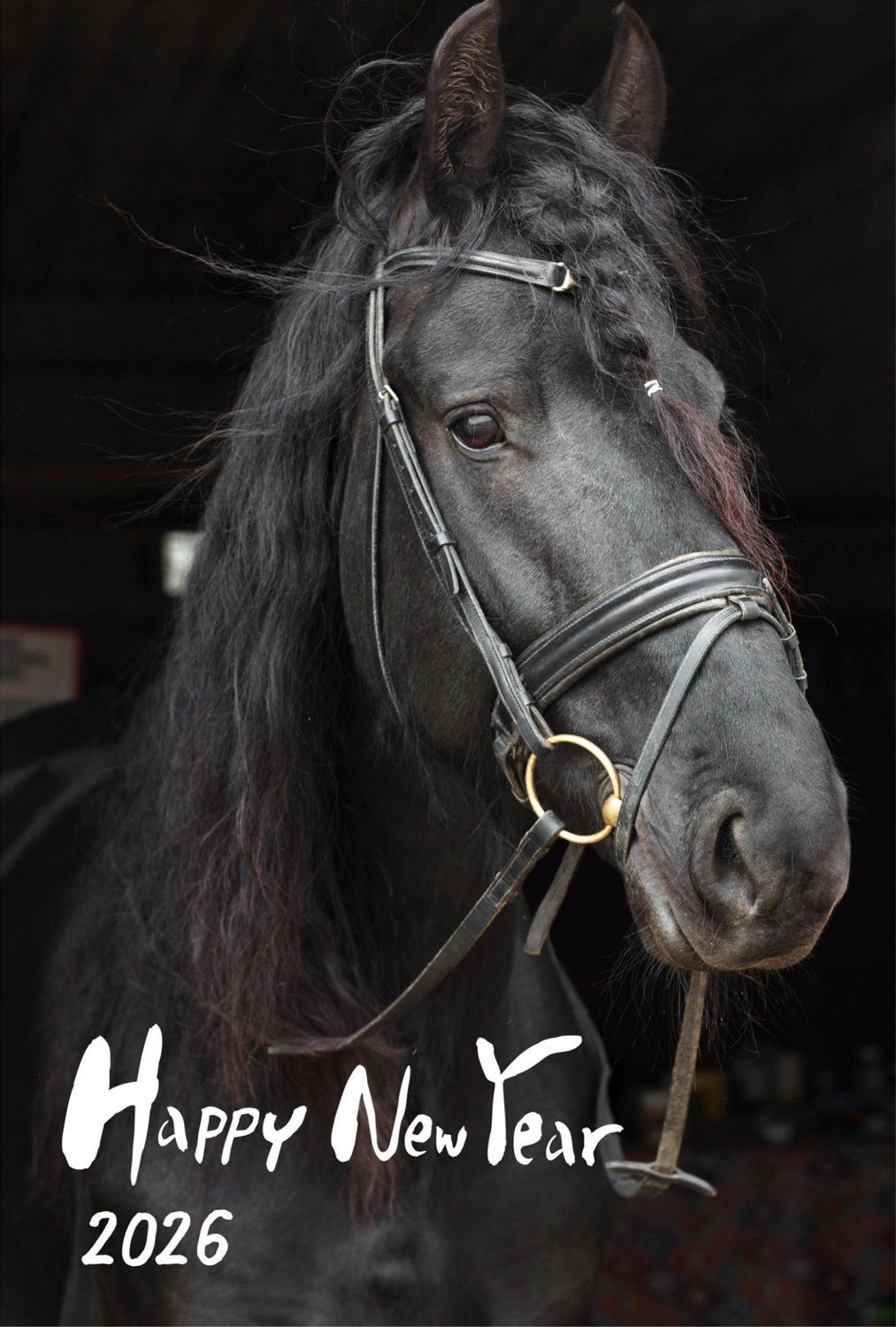 黒馬のリアル年賀状, happy, new, year, 年賀状テンプレート