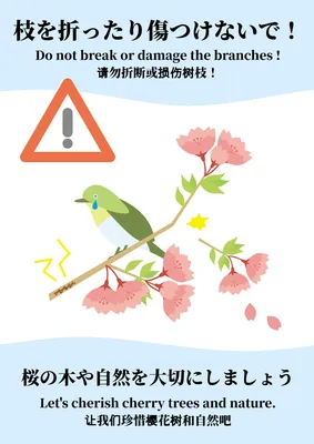 鳥と桜で表現した自然保護マナーポスター
, 포스터, 포스터 템플릿