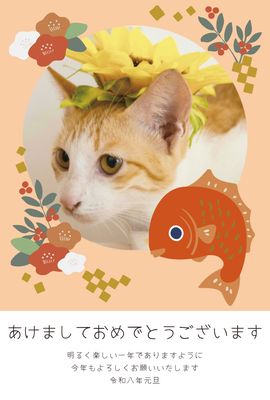 花と鯛をまとった猫の年賀状