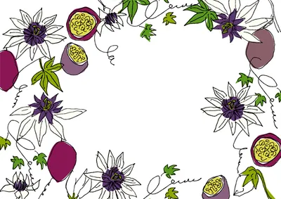 パッションフルーツ装飾フレームのフルーツ便箋
, Letter, Letter template