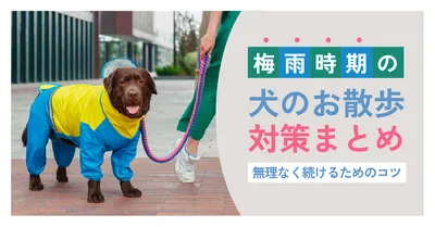犬の梅雨散歩対策ブログアイキャッチデザイン
, ブログのアイキャッチ, ブログのアイキャッチテンプレート