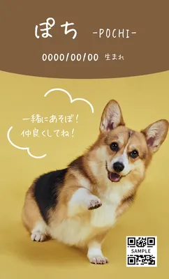 コーギー写真のかわいいペット名刺
, Business Card, Business Card template