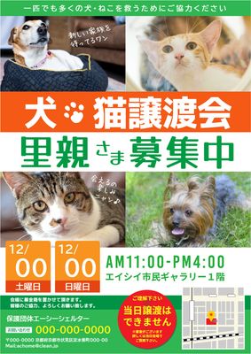 シンプルで分かりやすい譲渡会ポスター