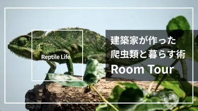 爬虫類との暮らしを紹介するYouTubeサムネイル
, YouTubeのサムネイル, YouTubeのサムネイルテンプレート